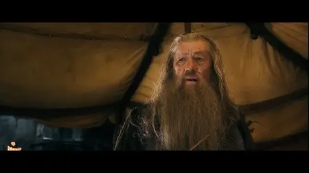 The Hobbit The Battle of the Five Armies (2014) [Blu-ray]