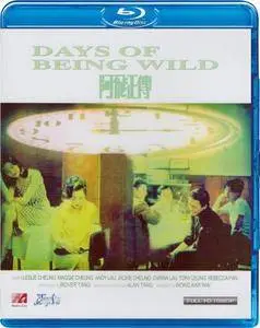 Days of Being Wild (1990) Ah fei zing zyun