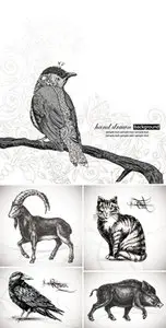 Hand Drawn Animals Vector