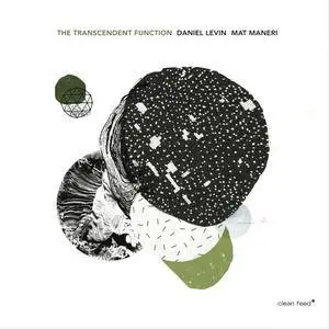 Daniel Levin & Mat Maneri - The Transcendent Function (2015)