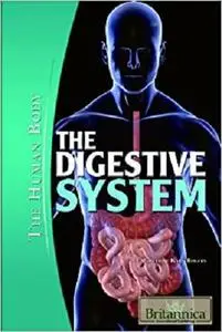 The Digestive System (Human Body (Rosen Educational Publishing))