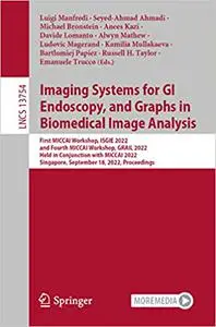 Imaging Systems for GI Endoscopy, and Graphs in Biomedical Image Analysis: First MICCAI Workshop, ISGIE 2022, and Fourth