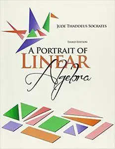 A Portrait of Linear Algebra (3rd edition)