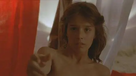 Der Fan (1982)