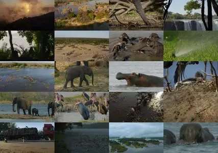 Victoria Falls: Africa's Garden of Eden (2021)