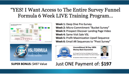 Ryan Levesque, Todd Brown - Survey Funnel Formula
