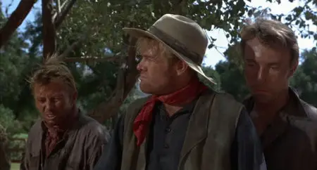 Shenandoah (1965)