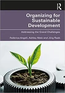 Organizing for Sustainable Development: Addressing the Grand Challenges