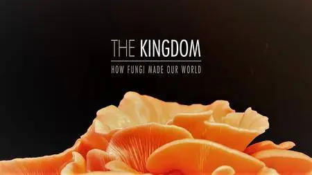 SmithandNasht - The Kingdom: How Fungi Made Our World (2018)