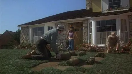 Handen van mijn gazon / Fun with Dick and Jane (1977)