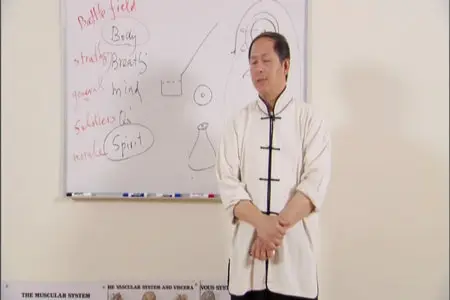 Understanding Qigong DVD 2: Keypoints of Qigong / Qigong Breathing
