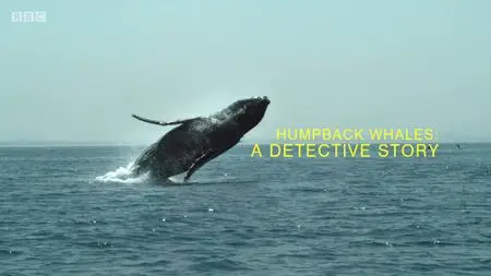 BBC Natural World - Humpback Whales: A Detective Story (2019)