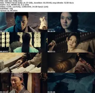 Reign Of Assassins (2010)