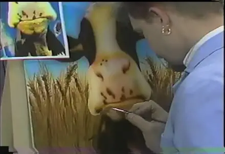 Airbrush Workshop Series, Advanced Airbrushing Animals
