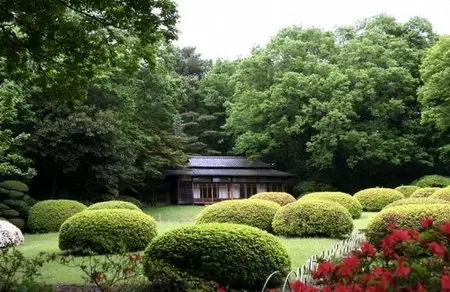 Photos on a theme the Japanese Garden