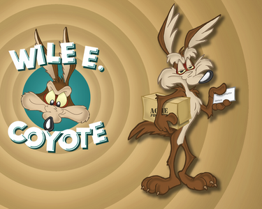 Wile E. Coyote cartoon collection (12 series, 1952-1963)