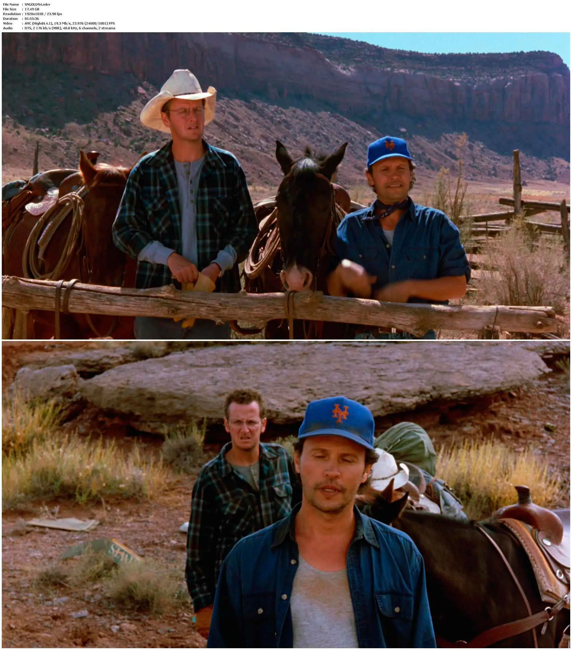 City Slickers II: The Legend of Curly's Gold (1994)