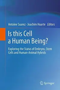 Is this Cell a Human Being?: Exploring the Status of Embryos, Stem Cells and Human-Animal Hybrids
