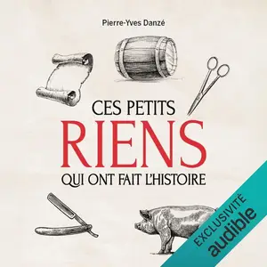 Pierre-Yves Danze, "Ces petits riens qui ont fait l'histoire"