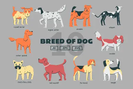 EE - Breed of Dog Illustration 9GD6JJ6