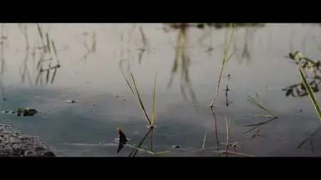Chiến Tranh Việt Nam S01E05