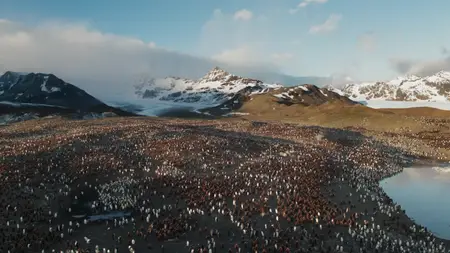 Sieben Kontinente - Ein Planet S01E01