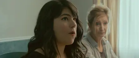 Cardinals (2017)