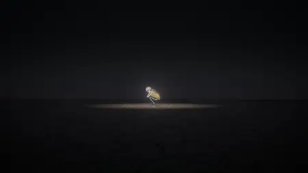 Wind Breaker S01E09 2160p WEB H 264 NanDesuKa (B Global
