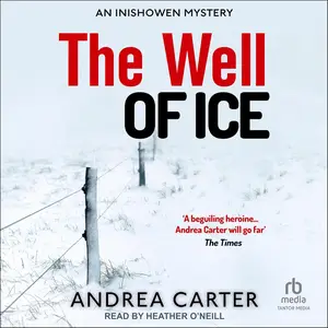 The Well of Ice: Inishowen Mystery Series