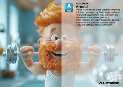 Solid Angle Cinema 4D to Arnold 4.7.6