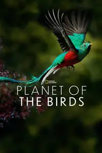 Planet of the Birds (2018) [MultiSubs]