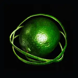 Big Thief - Double Infinity (2025) [Official Digital Download 24/96]