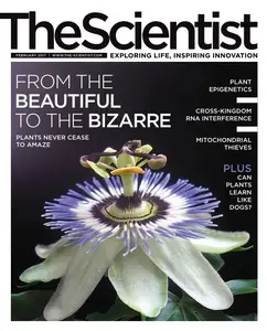The Scientist - February 2017