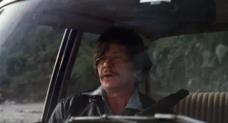 The Mechanic (1972)