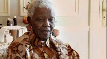 SBS - Nelson Mandela The Final Chapter (2013)