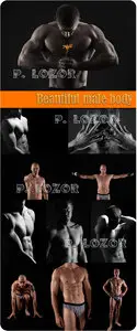 Beautiful male body