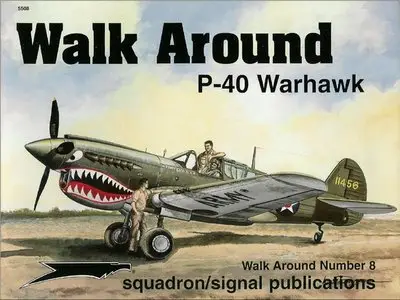 P-40 Warhawk Walk Around