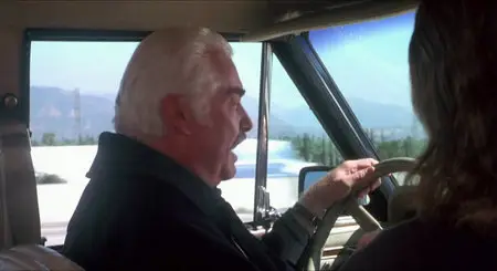 The Crossing Guard (1995)