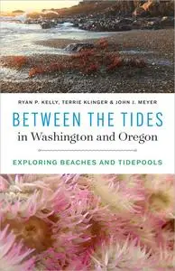 Between the Tides in Washington and Oregon: Exploring Beaches and Tidepools