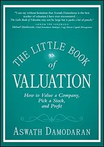 The Little Book of Valuation: How to Value a Company, Pick a Stock and Profit