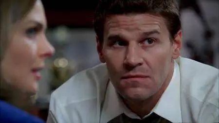 Bones S04E20