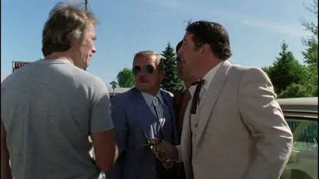 Any Which Way You Can (1980)