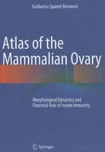 Atlas of the Mammalian Ovary: Morphological Dynamics and Potential Role of Innate Immunity [Repost]