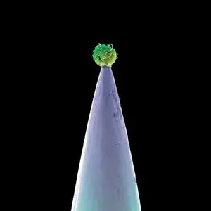 Peter Gabriel - New Blood (Special Edition) (2011)