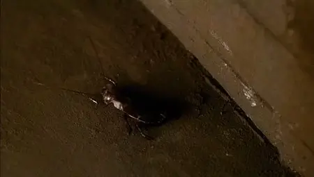 The Legend (1993)