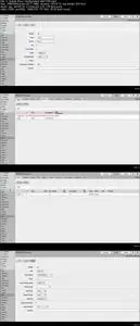 VPN with IPsec, GRE and EoIP Real Labs