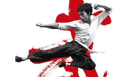 (Fr4) Moi, Bruce Lee (2013)