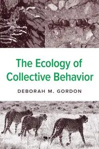 The Ecology of Collective Behavior