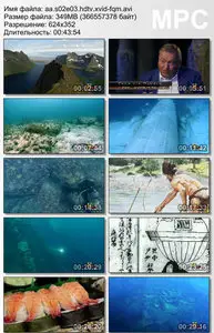 Ancient Aliens S02E03: Underwater Worlds