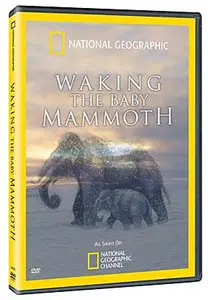 National Geographic Waking the Baby Mammoth